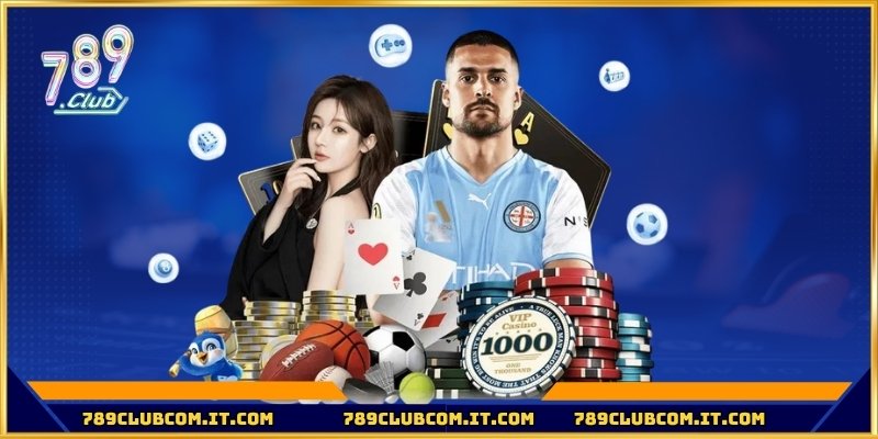Đặt cược đúng thời điểm để hưởng tỷ lệ cạnh tranh